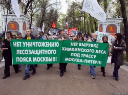 В будущее - через Химкинский лес? В будущее - через Химкинский лес?